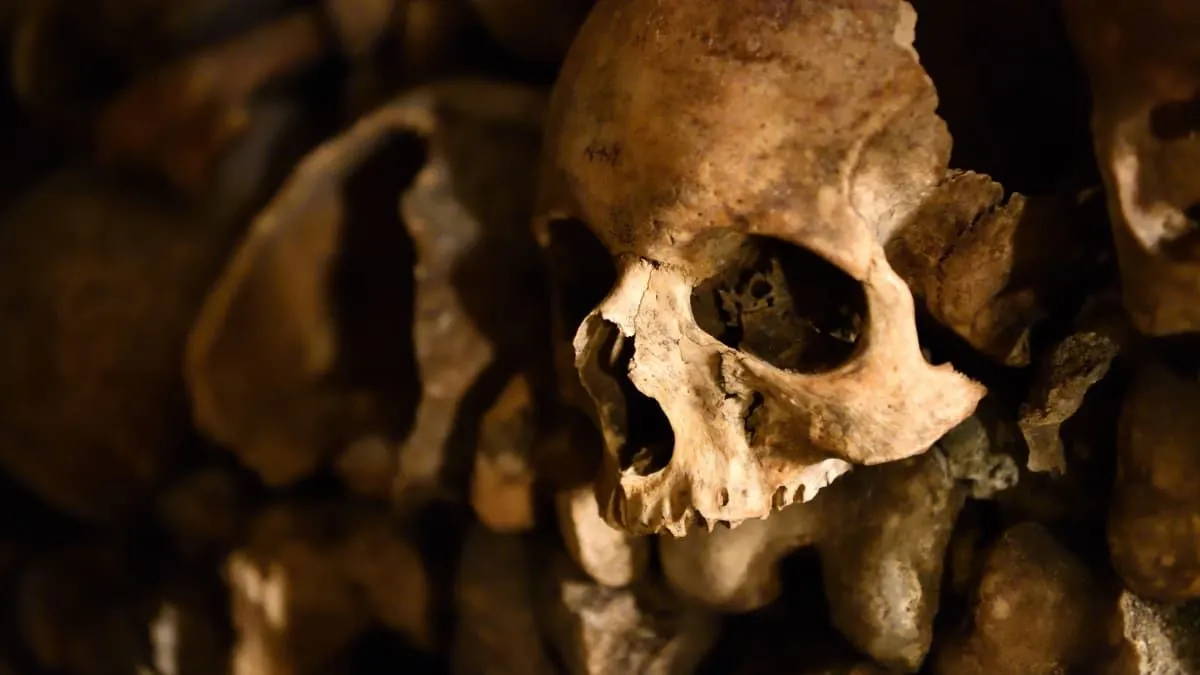 Les secrets des catacombes de Paris révélés par la science moderne