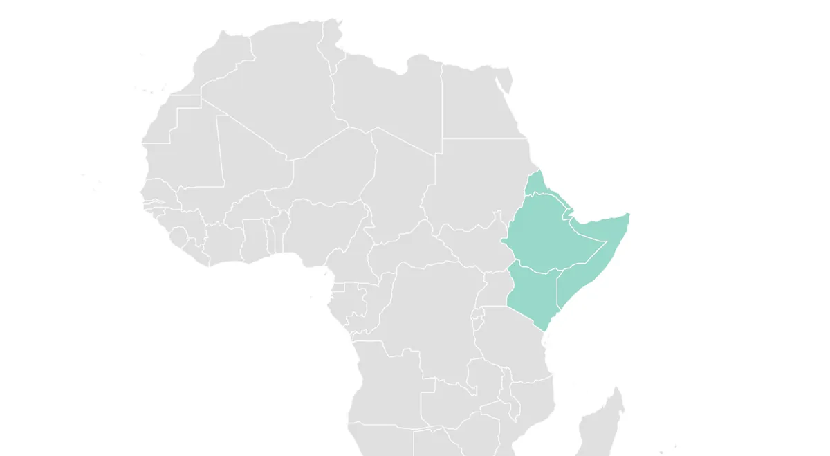 Tensions croissantes entre l'Éthiopie et la Somalie : un équilibre régional menacé