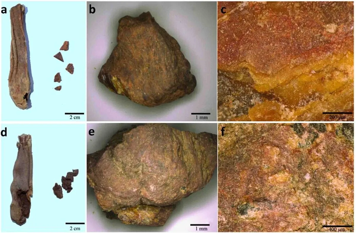 Percée majeure : ADN de fromage vieux de 3500 ans extrait en Chine