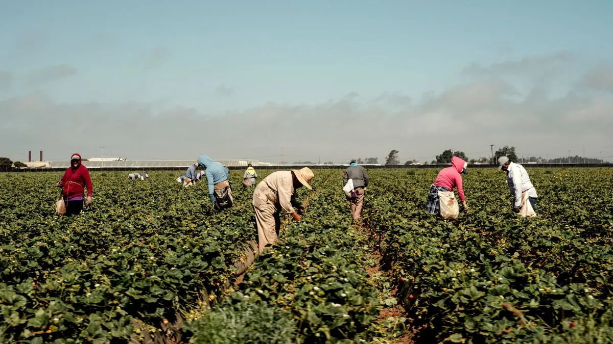 limmigration--un-impact-limite-sur-lemploi-et-les-salaires