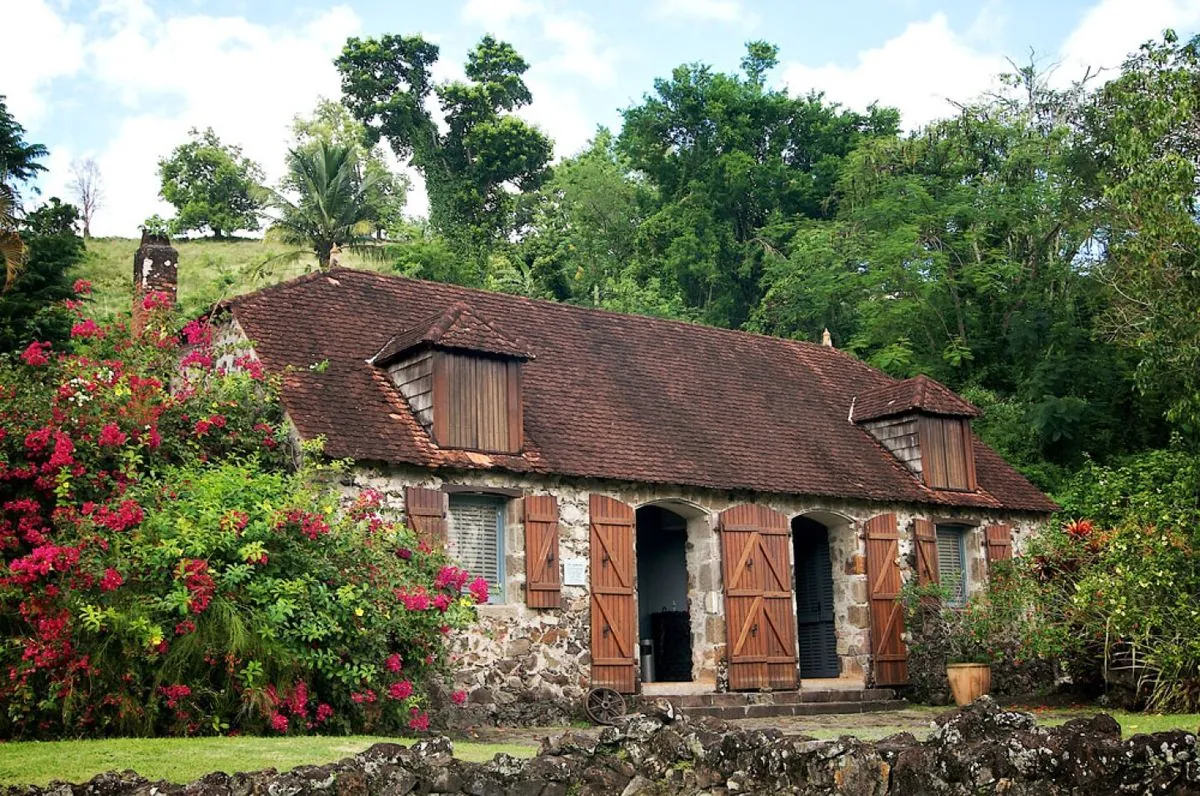 la-consumation--lerosion-silencieuse-de-la-societe-martiniquaise