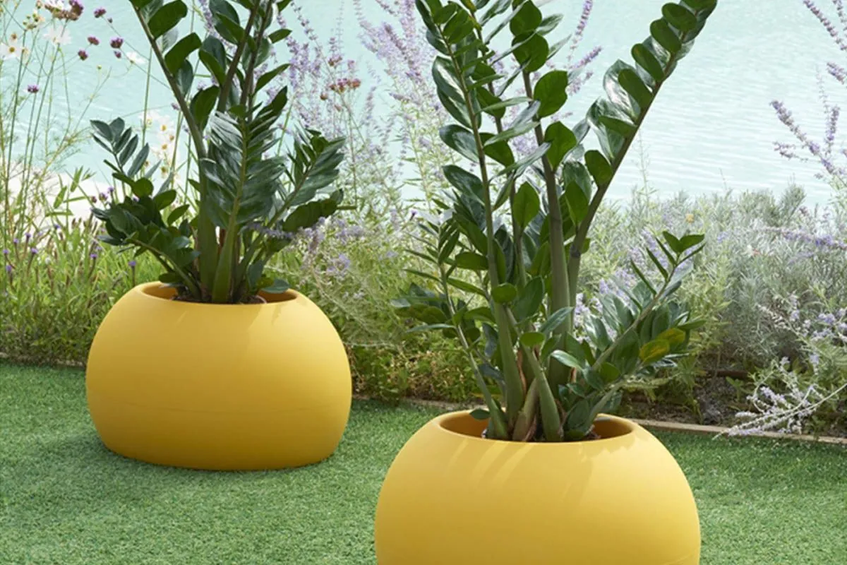 la-revolution-du-design-des-pots-de-plantes--de-simples-contenants-a-oeuvres-dart