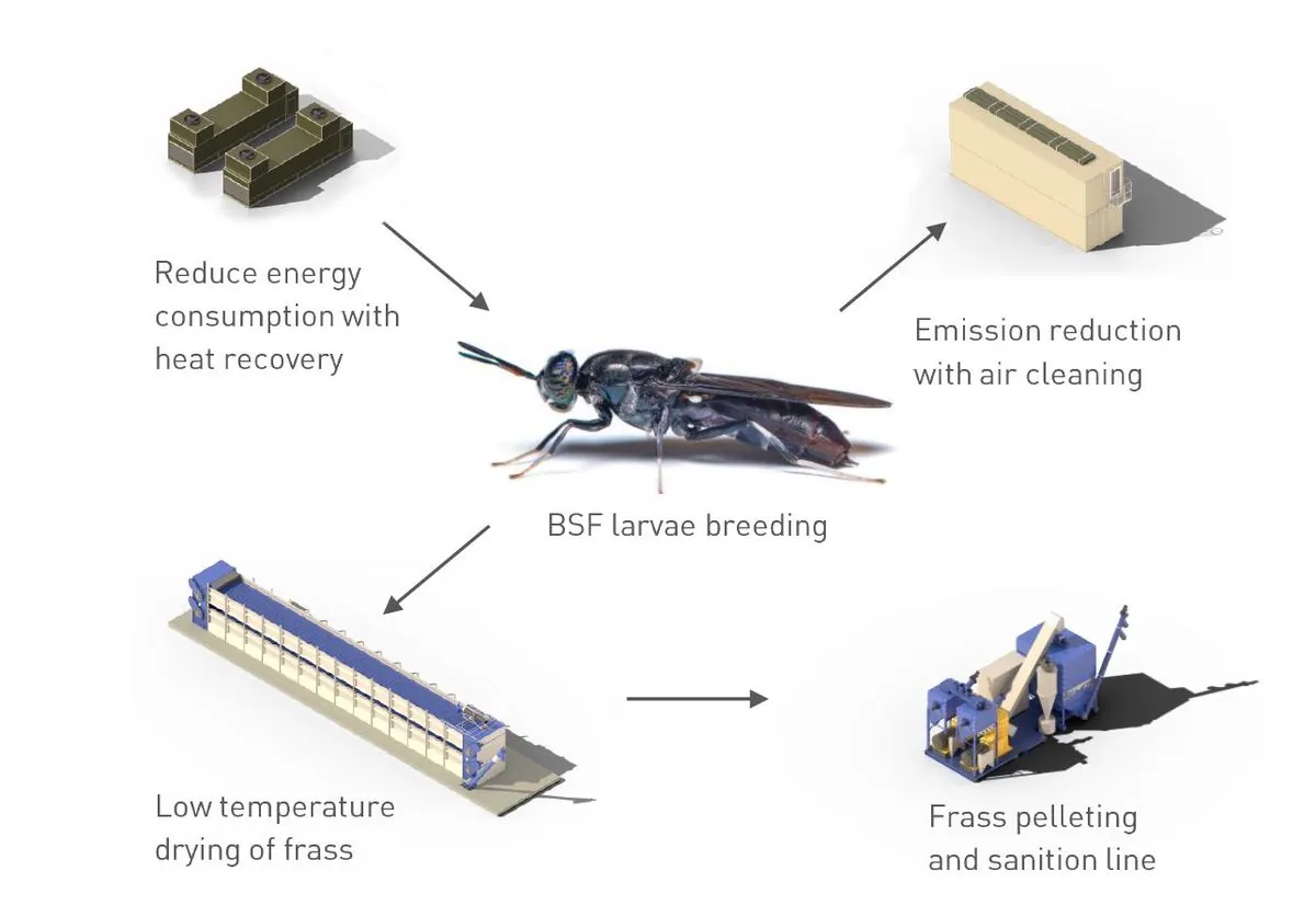 bioani--linnovation-ivoirienne-des-larves-pour-une-aquaculture-durable