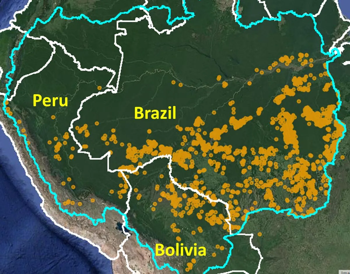 Catastrophe en Amazonie bolivienne : incendies record et communautés en péril