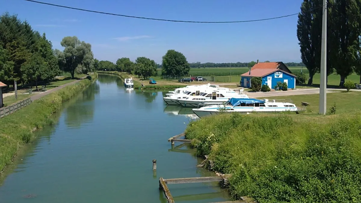 Controverse autour de la réhabilitation du canal Rhin-Rhône en Alsace