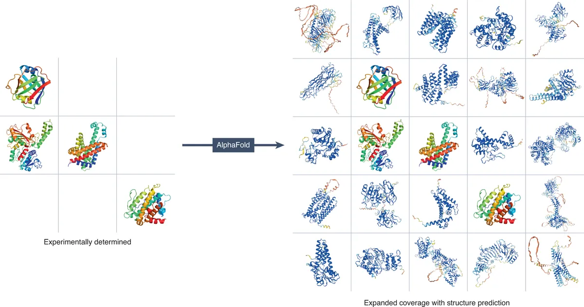 lia-revolutionne-la-chimie--alphafold-couronne-du-nobel-2024