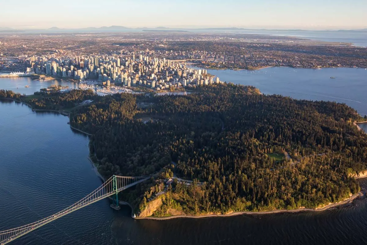 le-parc-stanley-de-vancouver-un-paradis-vert-menace-par-un-minuscule-envahisseur