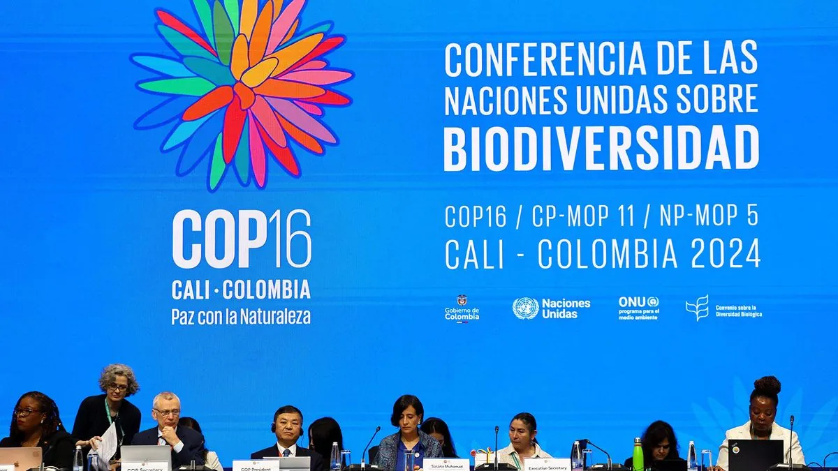 Les discussions à la COP16 de Cali révèlent des désaccords sur le financement écologique