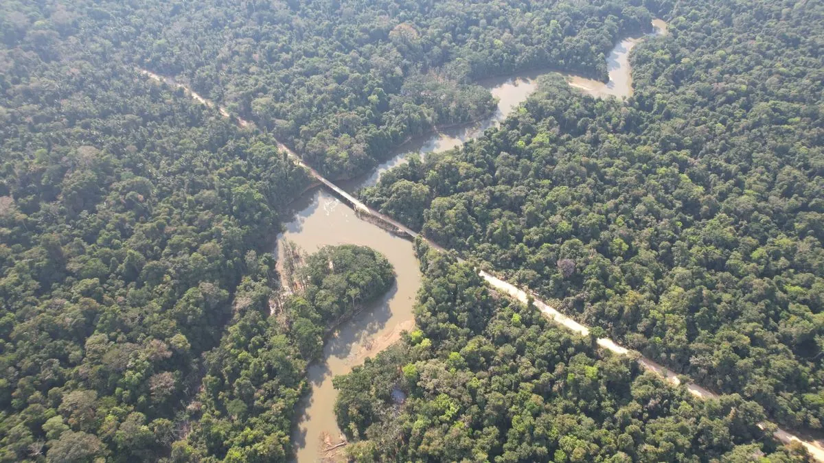 Le Brésil montre des résultats surprenants dans la protection de ses forêts