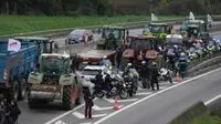 Les agriculteurs français et allemands s'unissent dans une manifestation historique