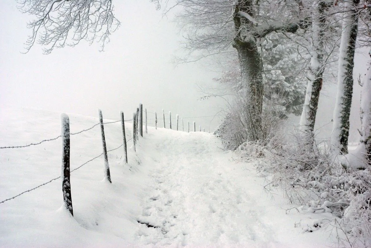 Alerte météo: 28 départements français face à un épisode neigeux inhabituel