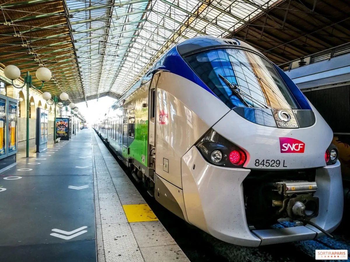 SNCF: Une grève nationale perturbe le réseau ferroviaire français