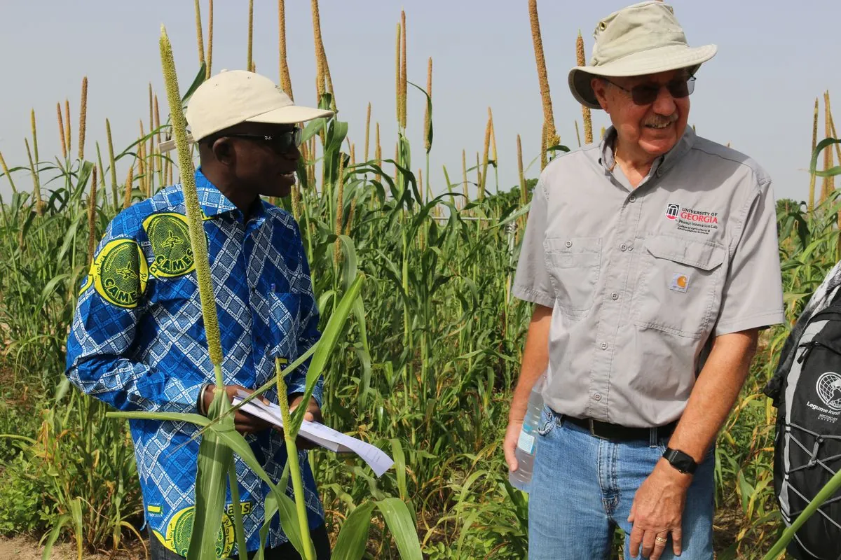 Les secrets du labo qui transforme l'arachide sénégalaise face au climat