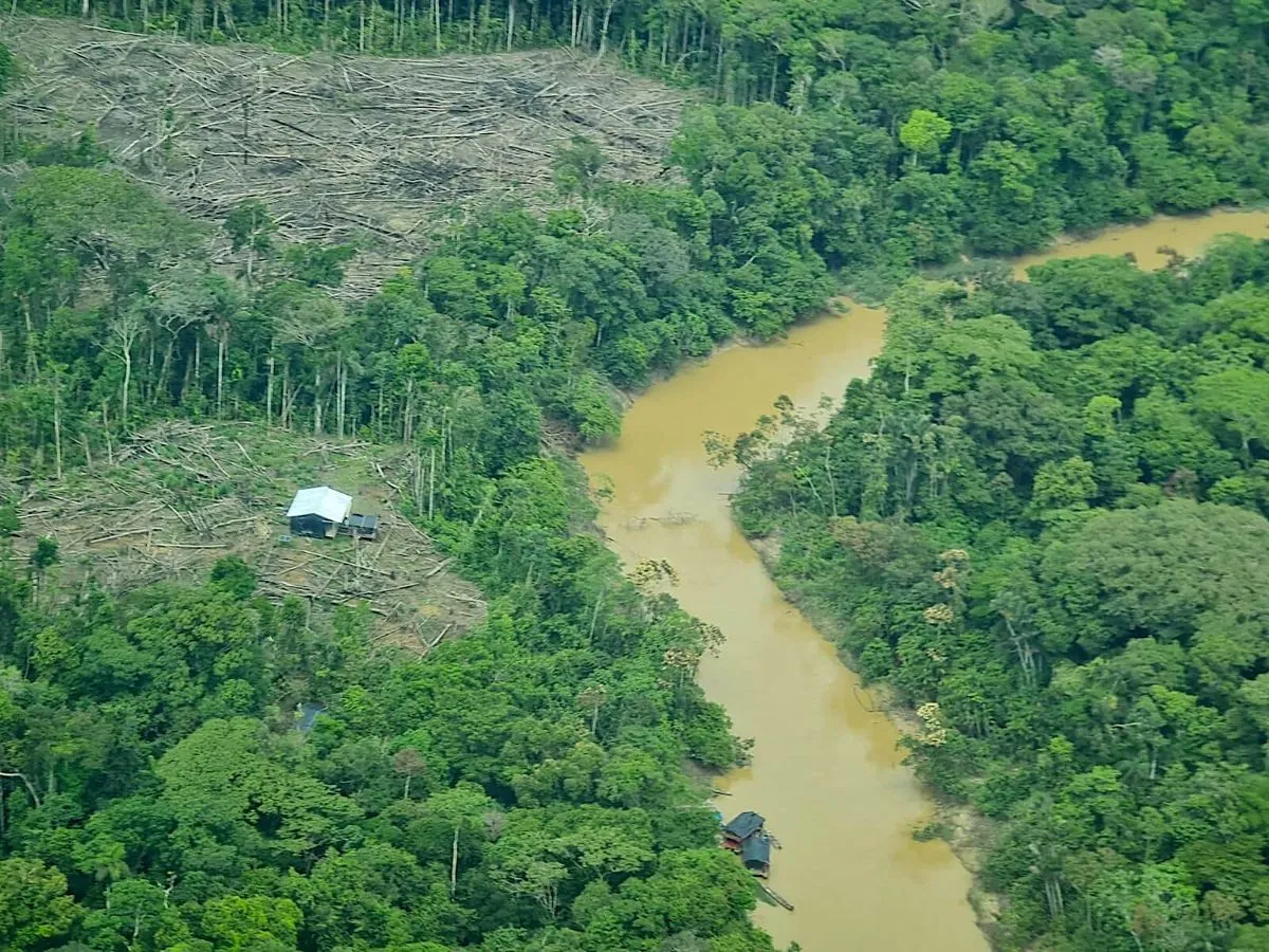 Comment la culture illégale de drogues affecte notre environnement