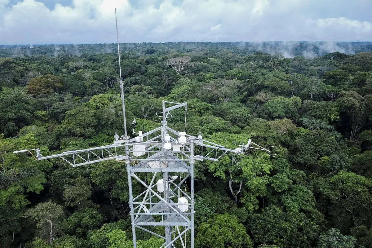 Le bassin du Congo devient le nouveau centre d'intérêt des études climatiques