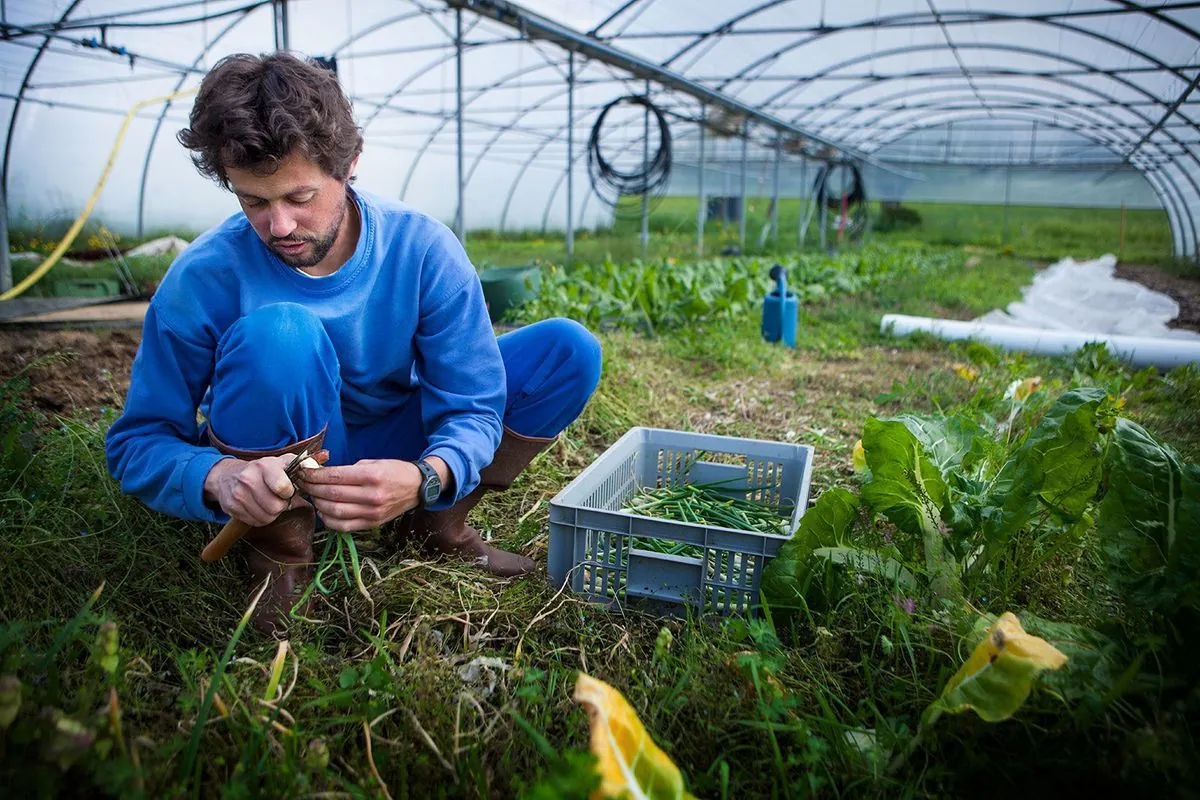 Le nouveau plan agricole français qui pourrait tout changer d'ici 2050