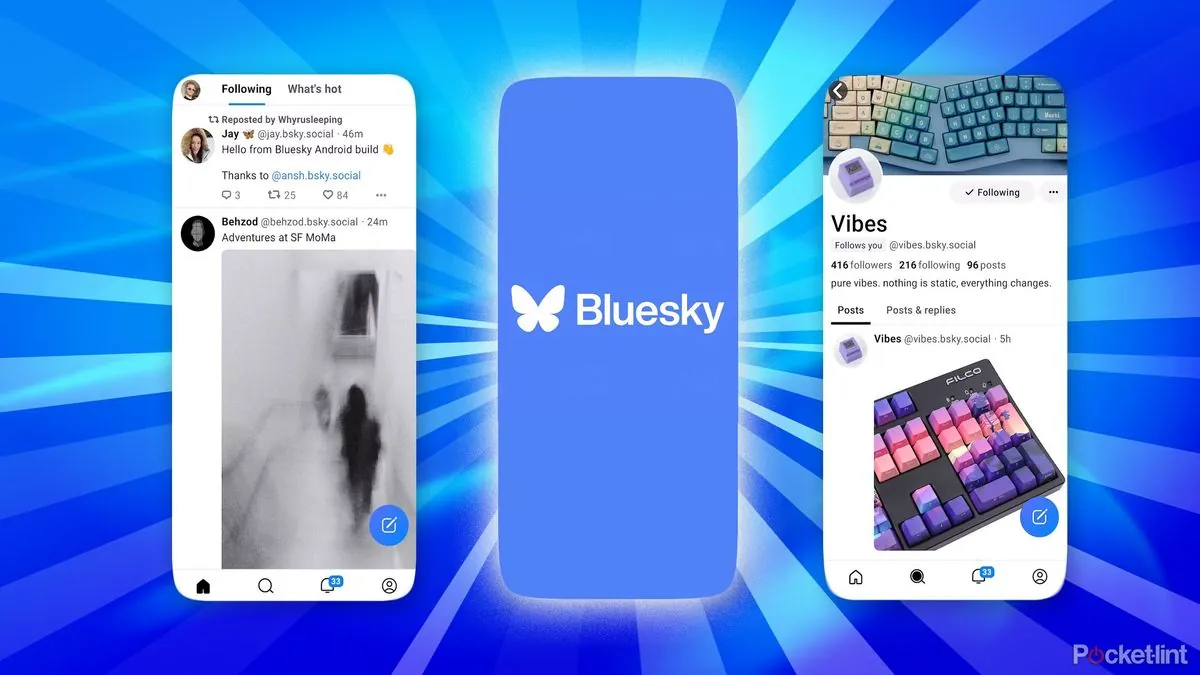 Bluesky: le nouveau réseau social qui fait trembler X avec ses 24M d'utilisateurs