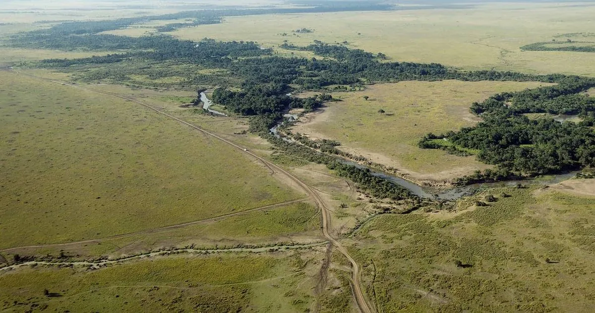 Les terres africaines vendues à bas prix pour des crédits-carbone