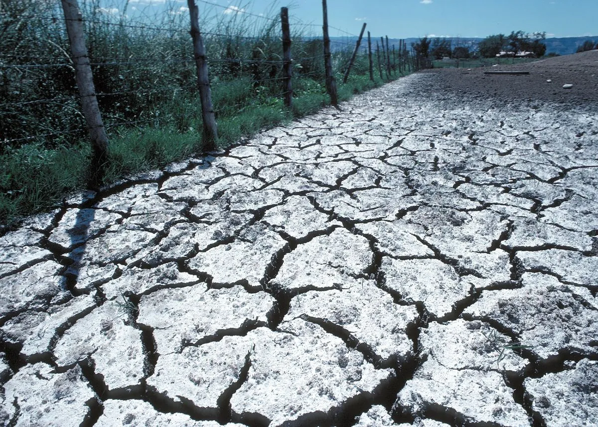 La menace silencieuse du sel: des milliards d'hectares en danger